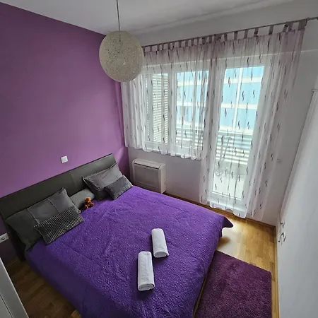 Cozy זאדאר